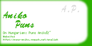 aniko puns business card